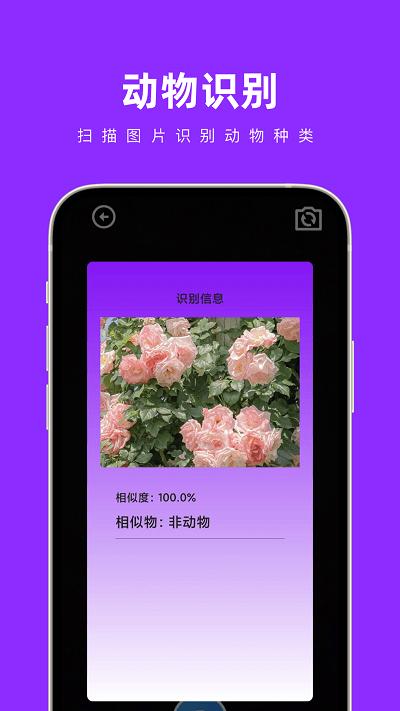奇妙扫扫箱官方版下载,奇妙扫扫箱,工具箱app,扫描识别app